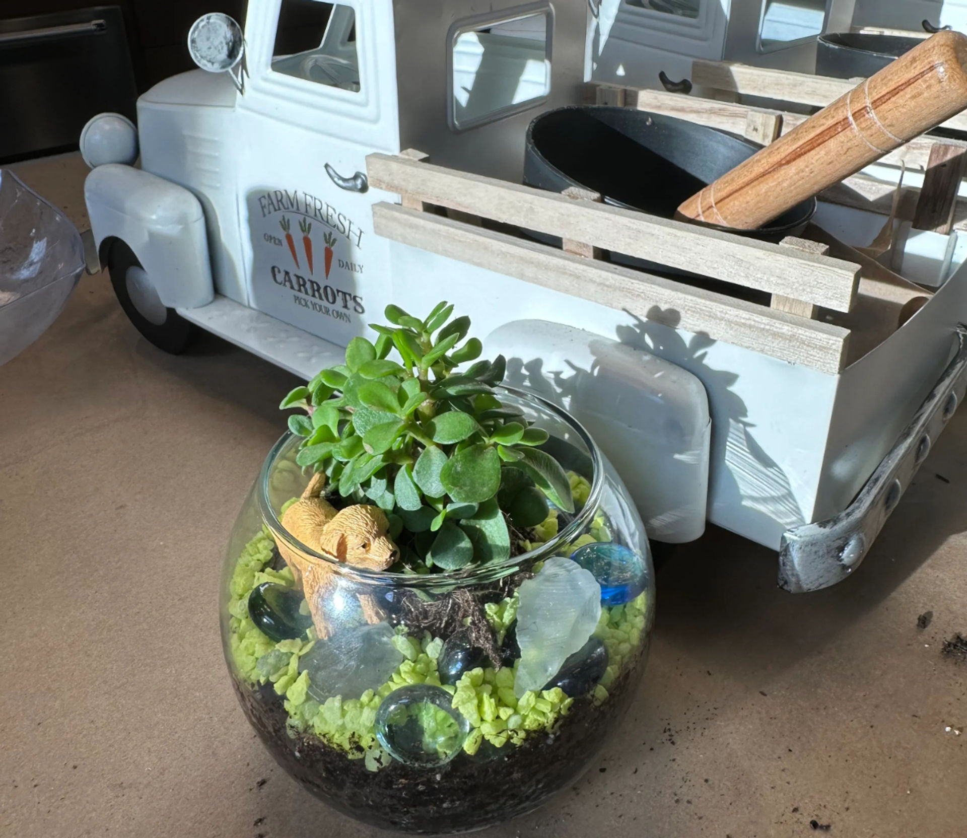 Terrarium Therapy: A Hands-On Creative Workshop image 1