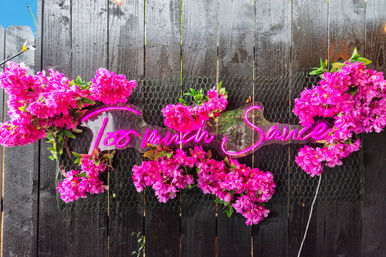 Blooming Gardens: 2 Epic Downtown Homes with 22 Beds, Hot Tubs, Chef, Massage & Mixology Class image 47