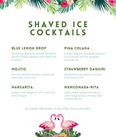Gourmet Boozy Snow Cone Truck for Parties & Events image 3