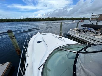 45' SeaRay Dream Yacht Charter Experience image 4