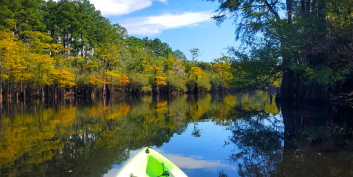 Choose Your Adventure: River Tubing Experience or Kayaking to a Private Island image 6