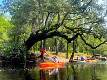 Choose Your Adventure: River Tubing Experience or Kayaking to a Private Island image 5