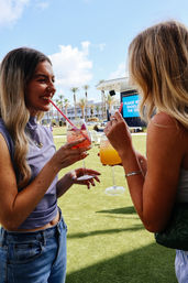 The Babe Bungalow: Your Coastal Chic VIP Experience Awaits image 8