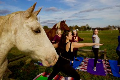Horse Yoga on the Farm at Nashville Horse and Goat Yoga image 3