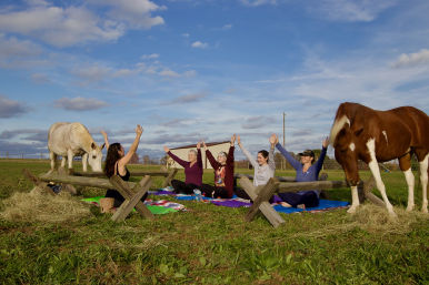 Horse Yoga on the Farm at Nashville Horse and Goat Yoga image 6