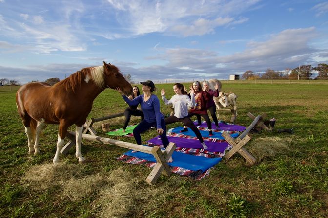 Horse Yoga on the Farm at Nashville Horse and Goat Yoga image 1