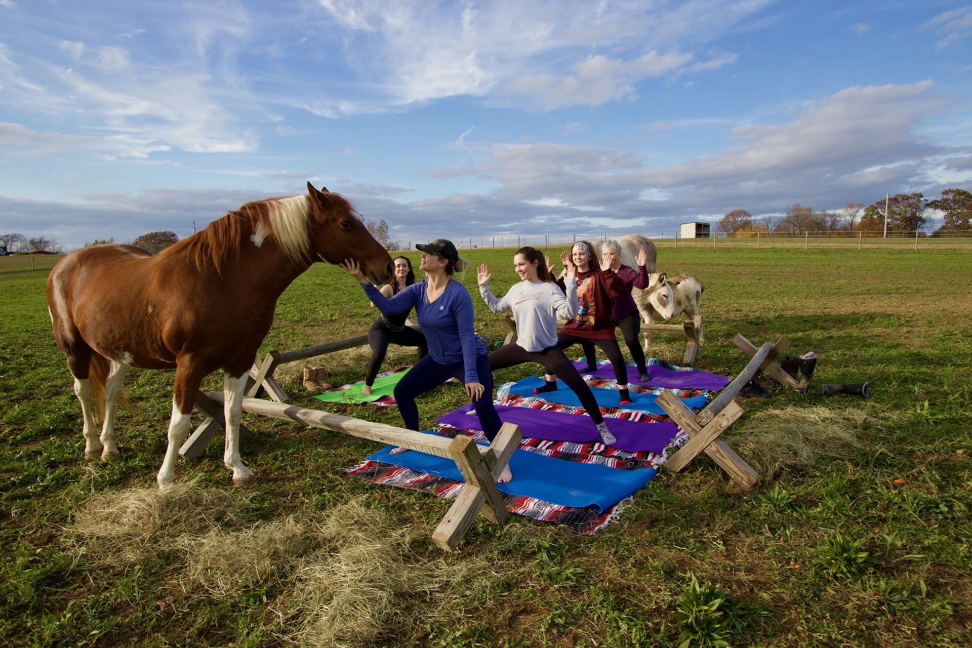 Horse Yoga on the Farm at Nashville Horse and Goat Yoga image 1