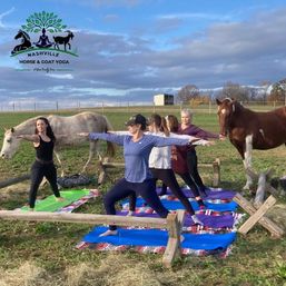 Horse Yoga on the Farm at Nashville Horse and Goat Yoga image 5
