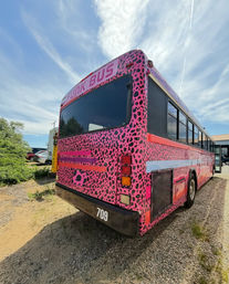 The Funk Bus: Cape Cod’s Ultimate Party Bus Rental Experience (Hourly & Roundtrip Available) image 6