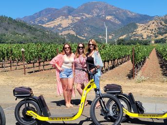 Wine Country E-Bike Tours: Napa & Calistoga Guided Winery Experience (No Pedaling Required!) image