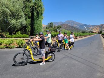 Wine Country E-Bike Tours: Napa & Calistoga Guided Winery Experience (No Pedaling Required!) image 14