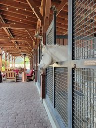 Wine Country E-Bike Tours: Napa & Calistoga Guided Winery Experience (No Pedaling Required!) image 18