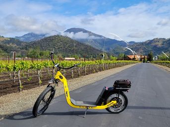 Wine Country E-Bike Tours: Napa & Calistoga Guided Winery Experience (No Pedaling Required!) image 16
