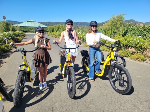 Wine Country E-Bike Tours: Napa & Calistoga Guided Winery Experience (No Pedaling Required!) image 3