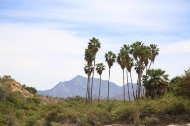 4x4 Offroad ATV Canyon Adventure with Mexican Buffet Lunch image 25