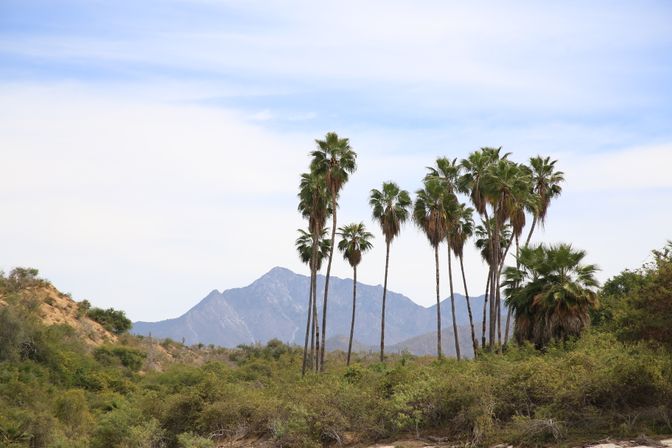 4x4 Offroad ATV Canyon Adventure with Mexican Buffet Lunch image 25