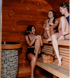 Small Group Recovery Session: Sauna, Plunge + Compression Therapy for 5 People image 3
