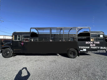 The Wild Ride Package: BYOB Party Bus + Male Revue Show image 7