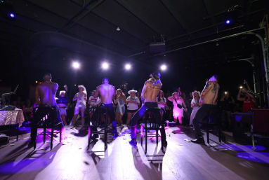 The Wild Ride Package: BYOB Party Bus + Male Revue Show image 4