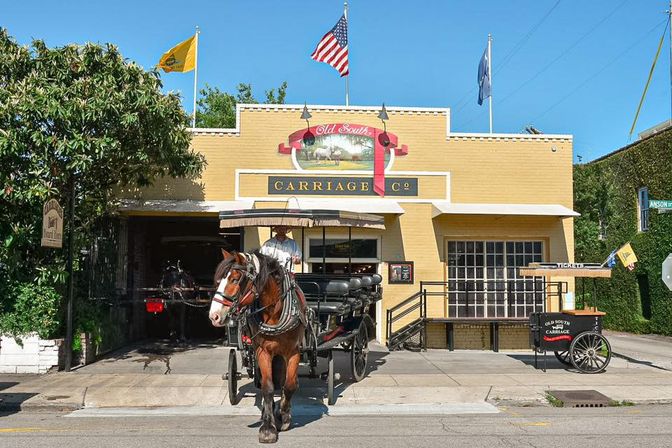 Explore Cobblestone Streets of Charleston with a Historic Horse Carriage or Walking Tour image 8