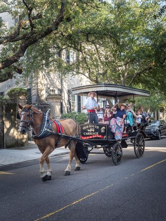 Explore Cobblestone Streets of Charleston with a Historic Horse Carriage or Walking Tour image 1