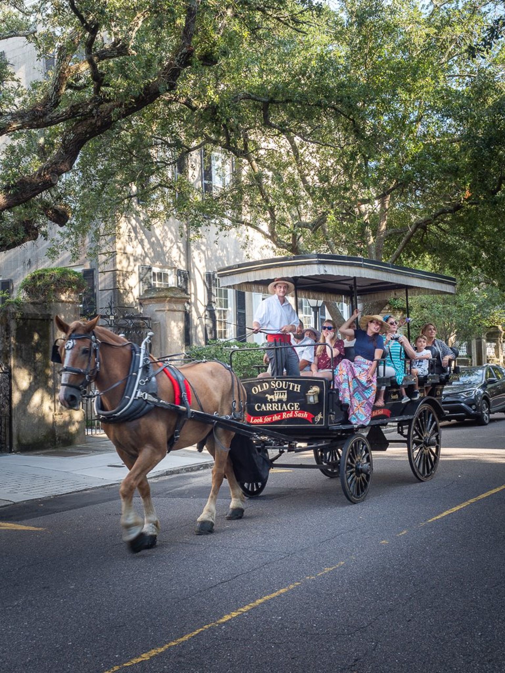 Explore Cobblestone Streets of Charleston with a Historic Horse Carriage or Walking Tour image 1