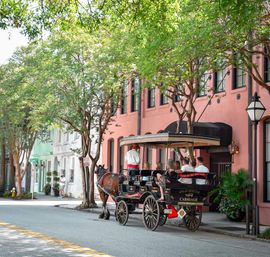 Explore Cobblestone Streets of Charleston with a Historic Horse Carriage or Walking Tour image 10