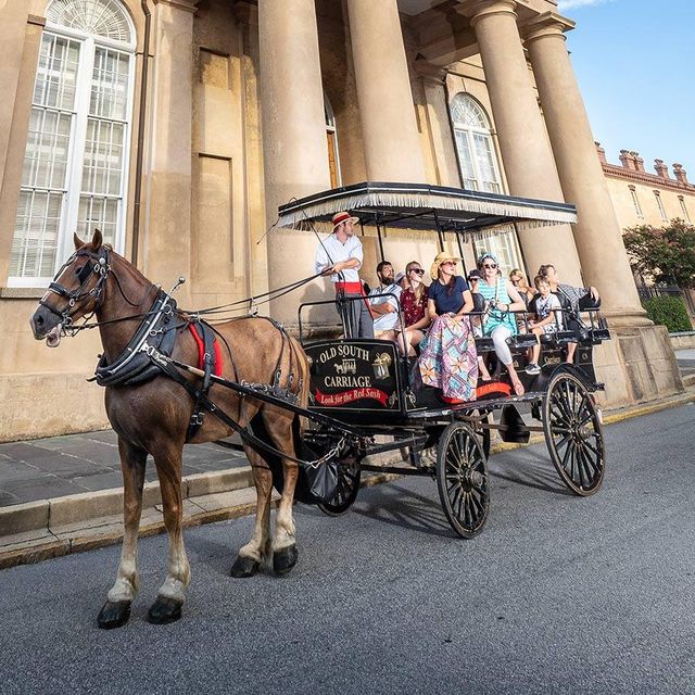 Explore Cobblestone Streets of Charleston with a Historic Horse Carriage or Walking Tour image 3
