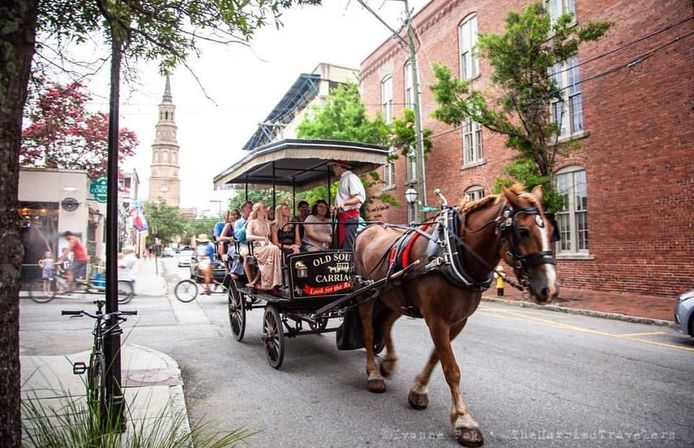 Explore Cobblestone Streets of Charleston with a Historic Horse Carriage or Walking Tour image 6