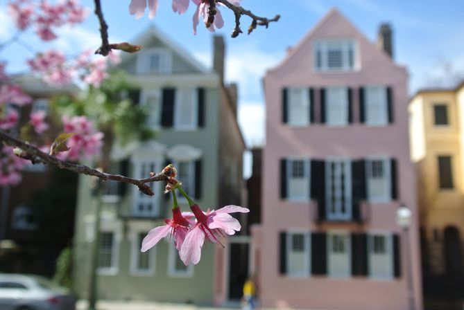 Explore Cobblestone Streets of Charleston with a Historic Horse Carriage or Walking Tour image 5