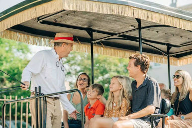 Private and Historic Horse-Drawn Carriage Tour: Explore Charleston’s Mansions, Churches and Gardens for Up To 16 Guests image 4