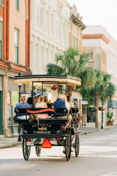 Private and Historic Horse-Drawn Carriage Tour: Explore Charleston’s Mansions, Churches and Gardens for Up To 16 Guests image 2
