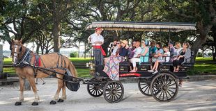 Thumbnail image for Private Carriage Tour Through Historic Residential Surrey