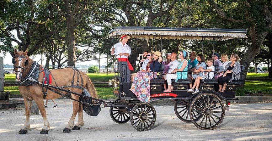 Private and Historic Horse-Drawn Carriage Tour: Explore Charleston’s Mansions, Churches and Gardens for Up To 16 Guests image 1
