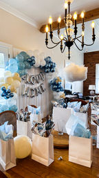 Picture Perfect Party Setup & Decorations Package image 20