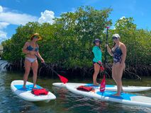 Thumbnail image for Key West Watersports: Paddleboard & Kayak Rentals