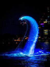 Entertaining Aquashow to Elevate your Event image 5