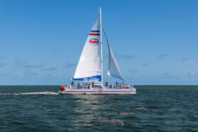 Pints and Pods Experience: Brewery Bus Tour + Sunset Dolphin Cruise with Live Music image 5