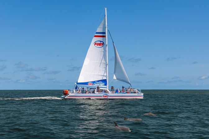 Pints and Pods Experience: Brewery Bus Tour + Sunset Dolphin Cruise with Live Music image 5