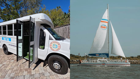 Pints and Pods Experience: Brewery Bus Tour + Sunset Dolphin Cruise with Live Music image 1