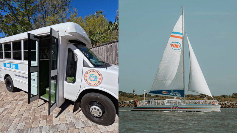 Pints and Pods Experience: Brewery Bus Tour + Sunset Dolphin Cruise with Live Music image 1
