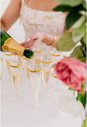 Nips & Sips: Champagne Cart & Mobile Bar image 5
