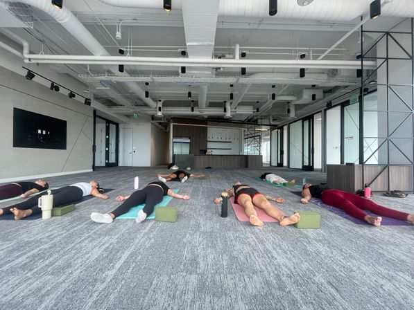 Kate Teaches Yoga: Private Customizable Vinyasa Flow at Your Home, Rental, or Outdoor Space in & around Denver, CO image 19