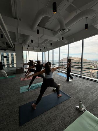 Kate Teaches Yoga: Private Customizable Vinyasa Flow at Your Home, Rental, or Outdoor Space in & around Denver, CO image 15