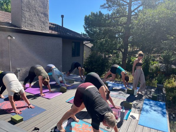 Kate Teaches Yoga: Private Customizable Vinyasa Flow at Your Home, Rental, or Outdoor Space in & around Denver, CO image 8