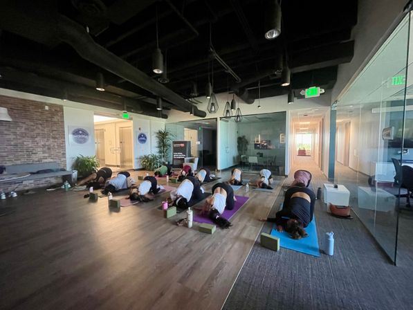 Kate Teaches Yoga: Private Customizable Vinyasa Flow at Your Home, Rental, or Outdoor Space in & around Denver, CO image 11
