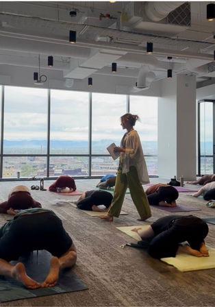 Kate Teaches Yoga: Private Customizable Vinyasa Flow at Your Home, Rental, or Outdoor Space in & around Denver, CO image 7