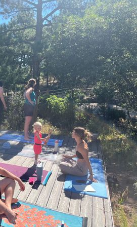Kate Teaches Yoga: Private Customizable Vinyasa Flow at Your Home, Rental, or Outdoor Space in & around Denver, CO image 17