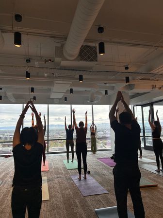 Kate Teaches Yoga: Private Customizable Vinyasa Flow at Your Home, Rental, or Outdoor Space in & around Denver, CO image 13