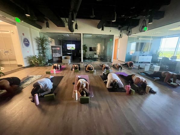 Kate Teaches Yoga: Private Customizable Vinyasa Flow at Your Home, Rental, or Outdoor Space in & around Denver, CO image 6